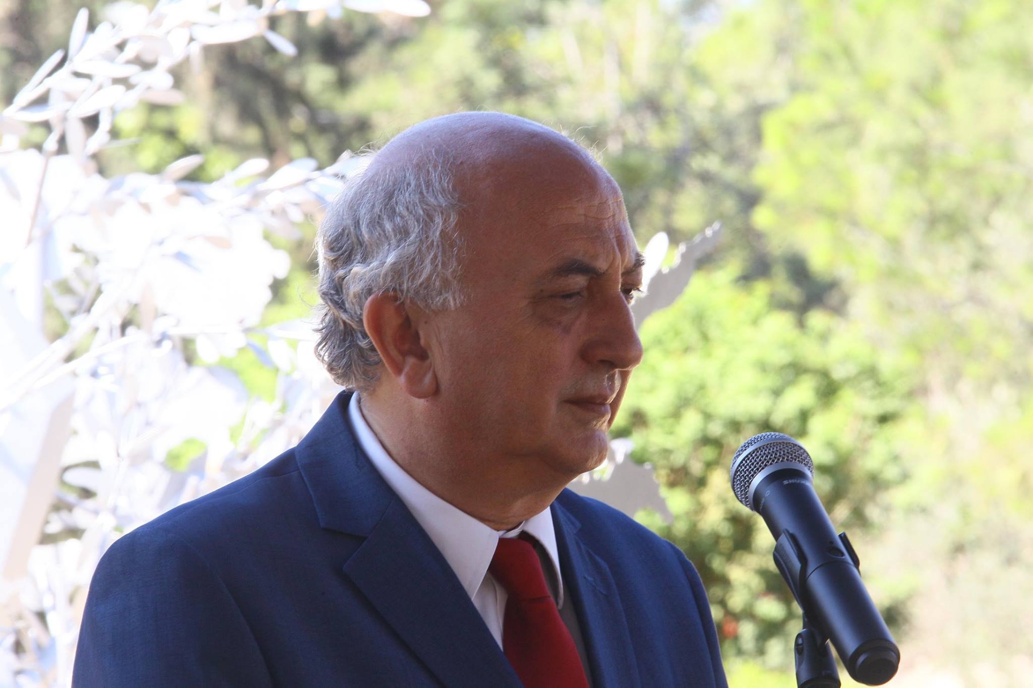 13725067_1186106951420464_392985344146893282_o